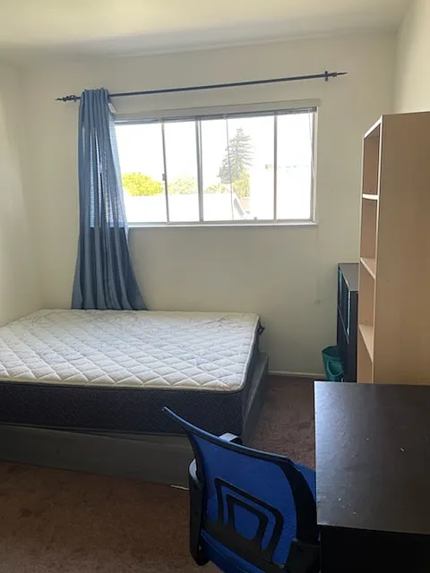 1 bed, 380 sqft, $1,200 — Photo 4