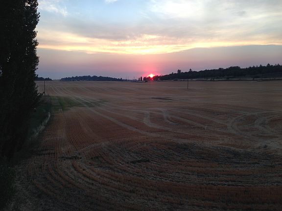 View from back door