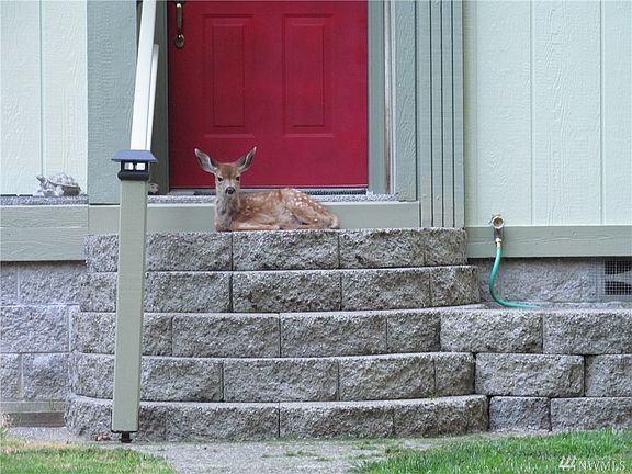 2nd image of 272 Deer Park Ln
