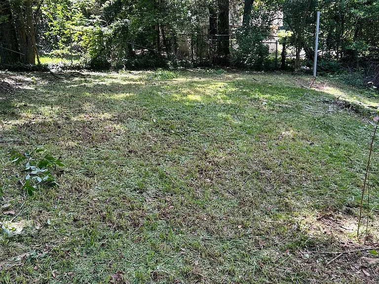 Shelby St — Photo 9