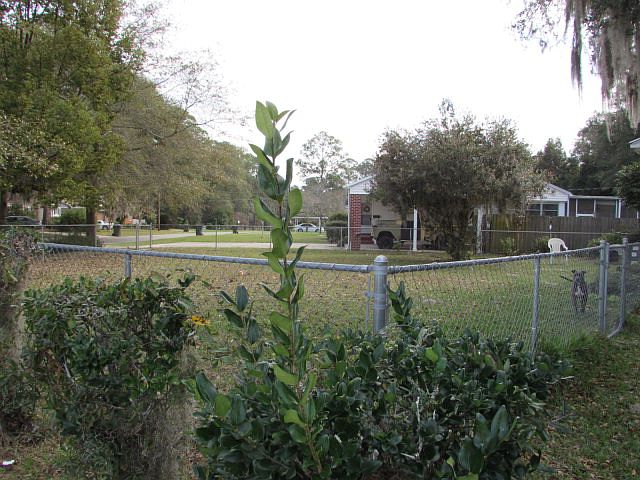 2nd image of 1206 Screven Ave