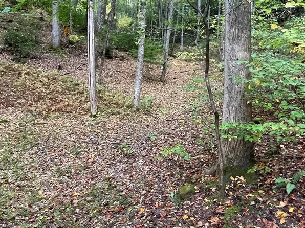 18 Bartram Trail Rd, Franklin, NC 28734