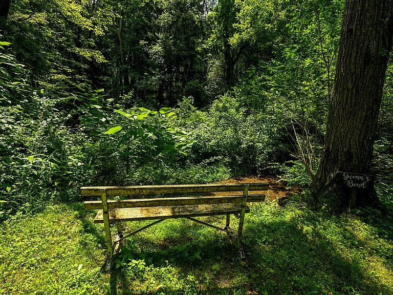Park Benches on edge of stream...beautiful any time of year.