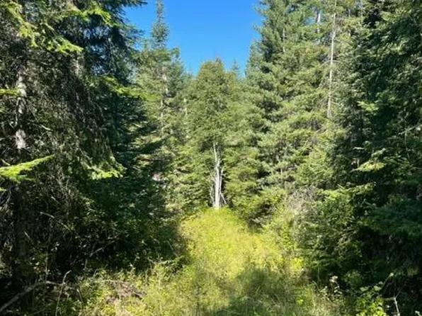 LOT-3XX Leclerc Rd N #14, Ione, WA 99139