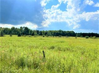 231 Moore Rd, Dolgeville, NY 13329