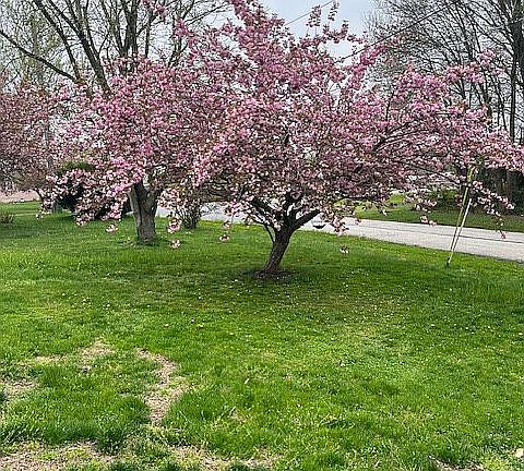 4th image of 12 Twin Lakes Rd