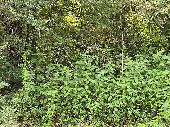 5th image of 0 County Road 2500