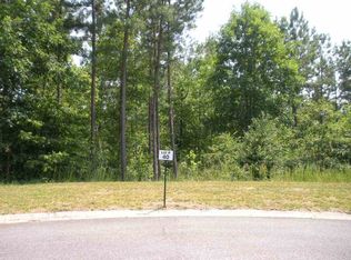 580 Canewood Ln LOT 40, Campobello, SC 29322