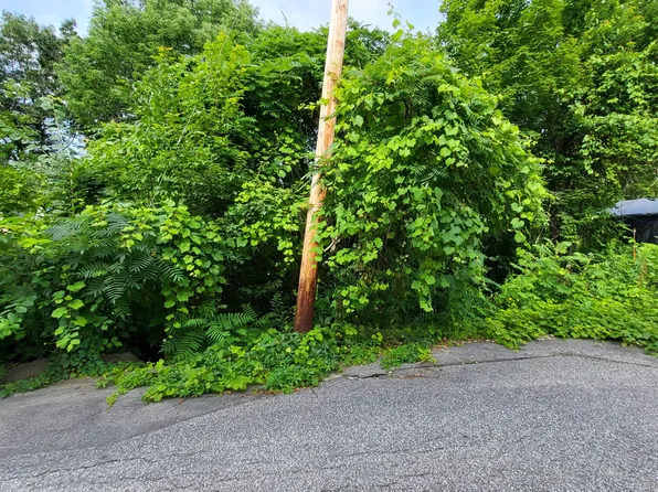 Lot 052 High Street, Rumford, ME 04276