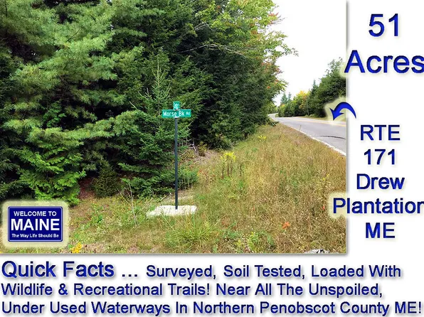 Lot 5 Route 171 Road, Drew Plt, ME 04497