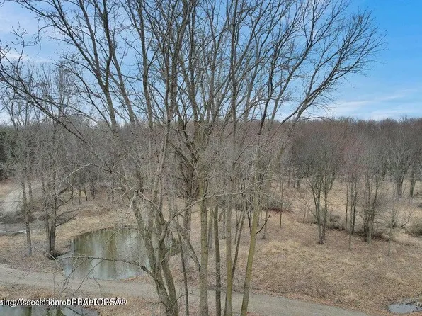1380 Harper Rd, Mason, MI 48854