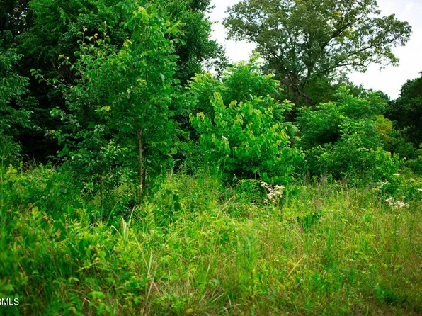 8517 E Emory Rd, Corryton, TN 37721