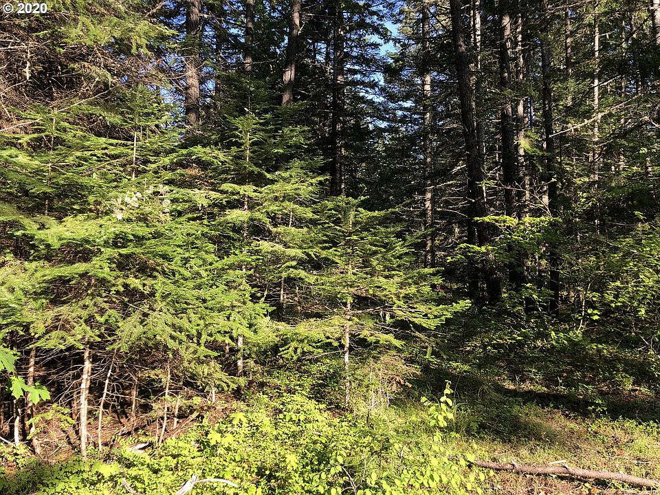 1st image of 22 McIlroy Creek Rd #Bz