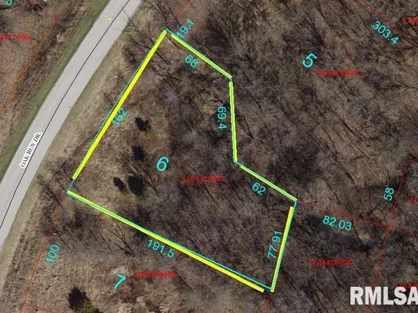 4006 Oak Run Dr, Dahinda, IL 61428