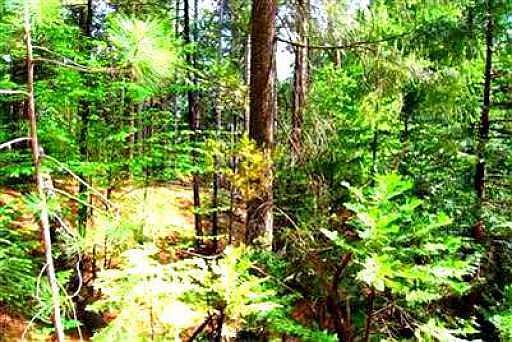 5th image of 5350 Wooded Glen Dr