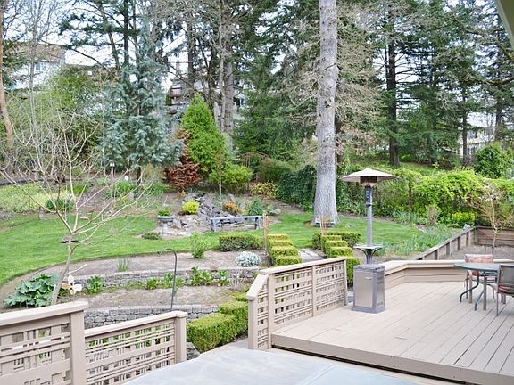 Expansive Back Deck