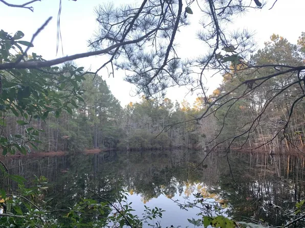 Elwell Rd, Garland, NC 28441