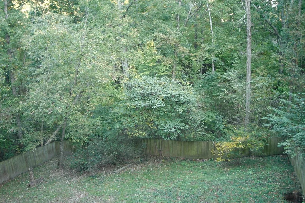 5 bed, 2178 sqft, $1,700 — Photo 4