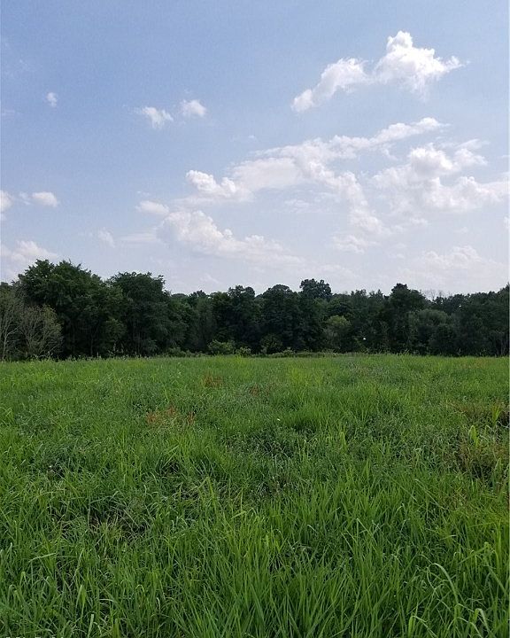 2nd image of State Route 302