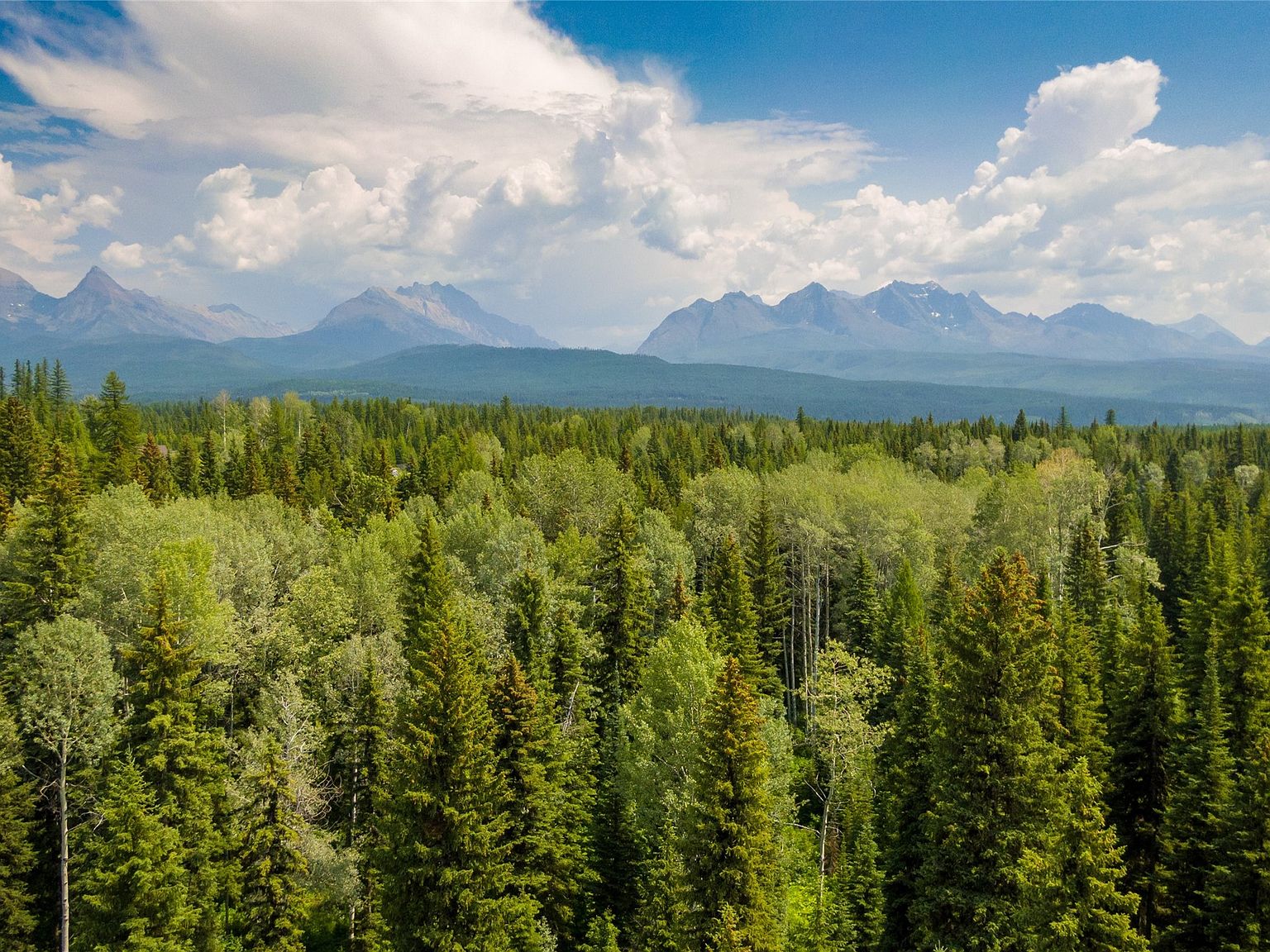 765 & 781 Trail Creek Rd, Polebridge, MT 59928 MLS 30008356 Zillow