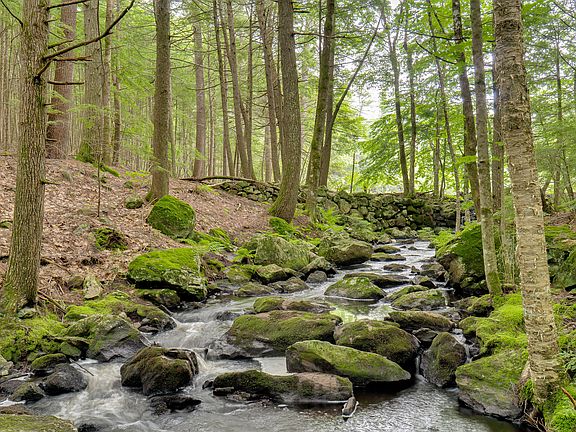 4th image of TBD Sokokis Trail