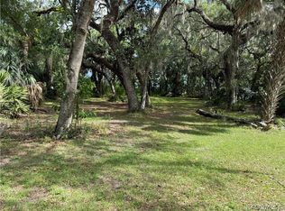 5191 E Parsons Point Rd, Hernando, FL 34442