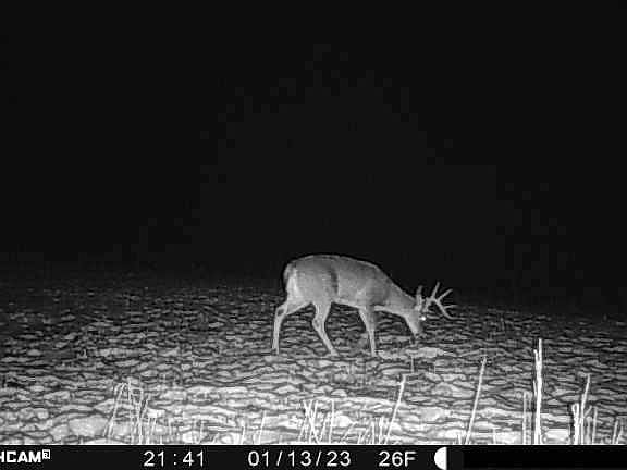2nd image of 0 County Road C