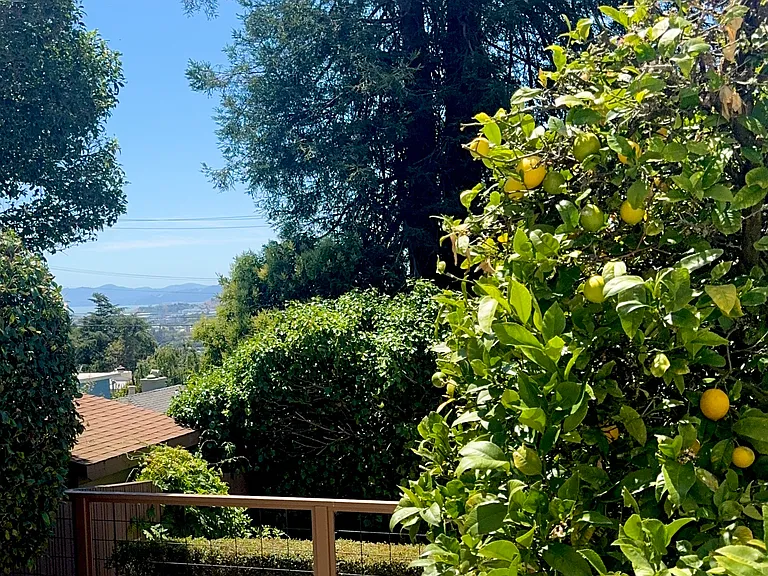The house also includes a mature Meyer lemon tree and lovely Bay views.