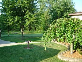 First impressions matter. Beautiful trees line the walkway from drive, pole barn to the house.