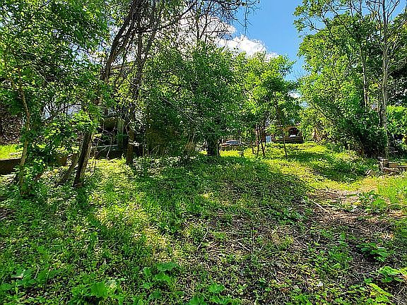 Looking up from Boggston