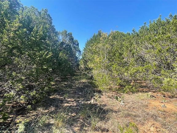 4th image of 12095 Shady Creek Dr