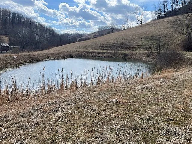 81 Bub Park Rd photo 1