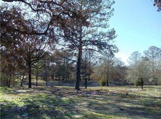 153 Palamino Ct, Paige, TX 78659