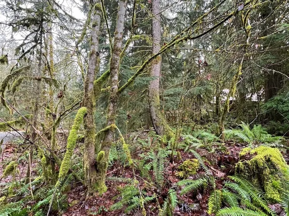 15026 Iceberg Road, Glacier, WA 98244