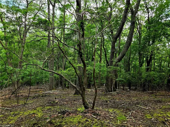 Red Fox Trl Lot 3, Boone, NC 28607