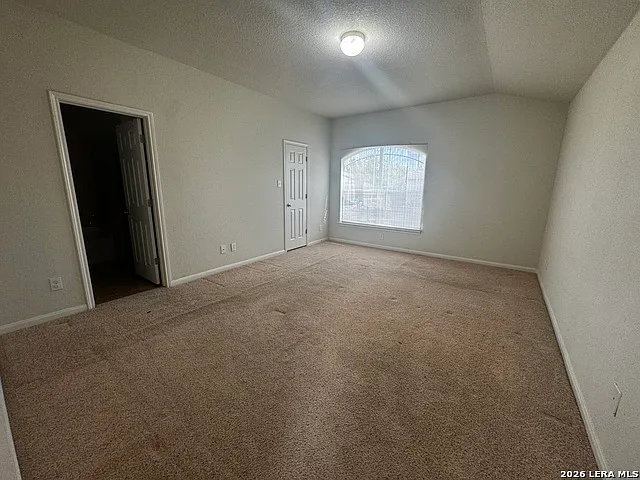 8834 Snow Goose — Photo 16