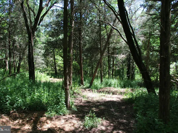 S Buckton Rd, Middletown, VA 22645