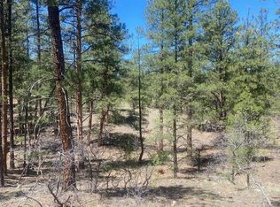 Tbd 12th Trail, Cotopaxi, CO 81223