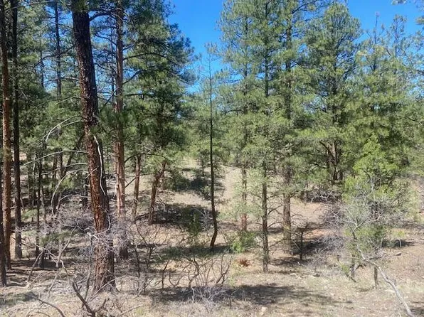Tbd 12th Trail, Cotopaxi, CO 81223