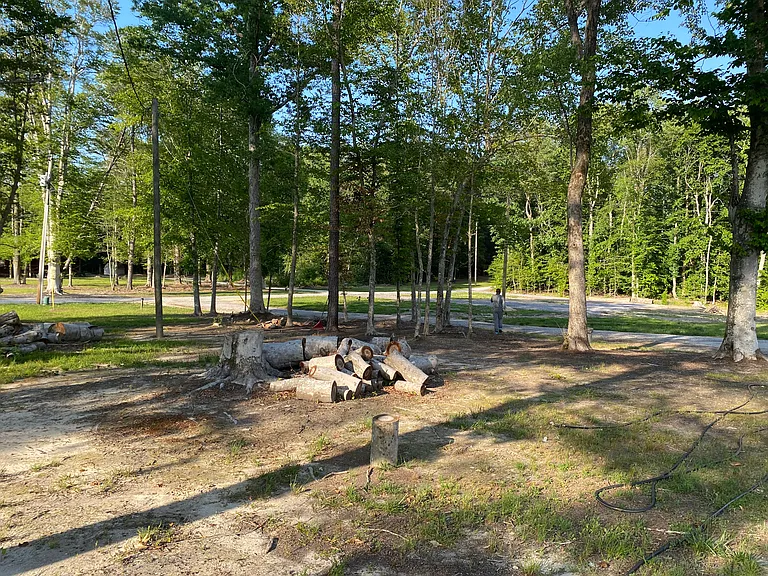 Chippokes Rd — Photo 46