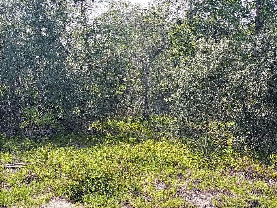 1st image of 1425 ORLANDO WAY