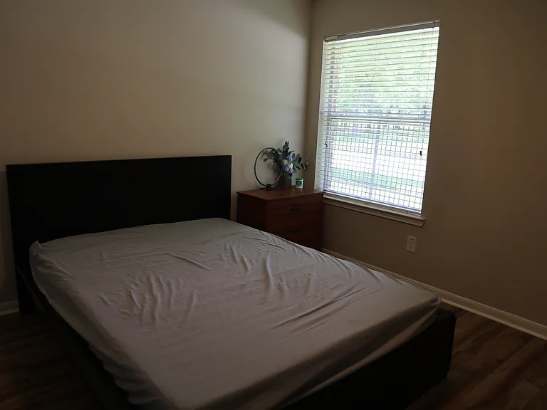 4323 Lakeside Meadow Dr — Photo 12