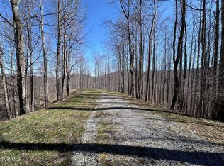 Tbd Roan Springs Rd, Roan Mountain, TN 37687