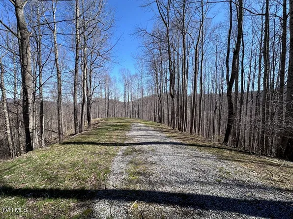 Tbd Roan Springs Rd, Roan Mountain, TN 37687