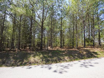 4 Onion Hill Rd, Dover, TN, 37058