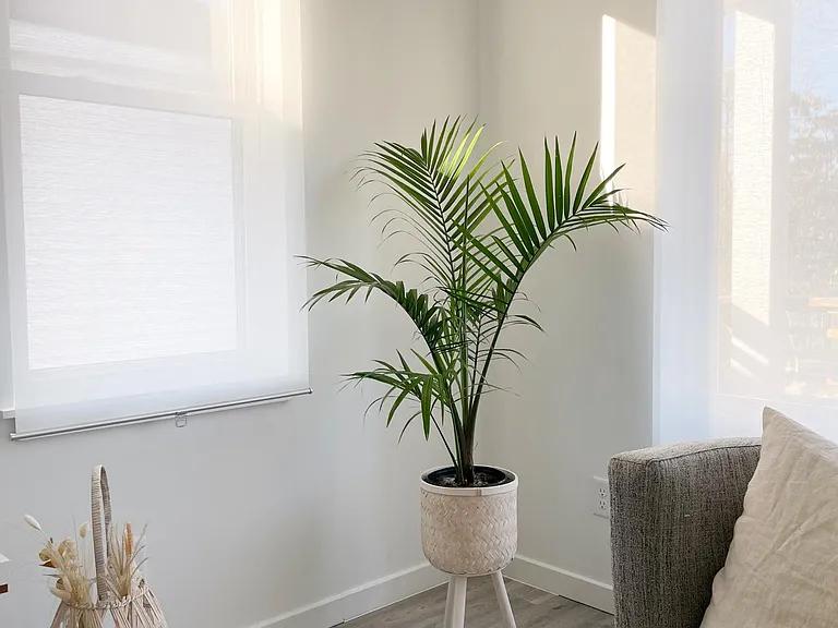 517 Sumter Ave #2 — Photo 15