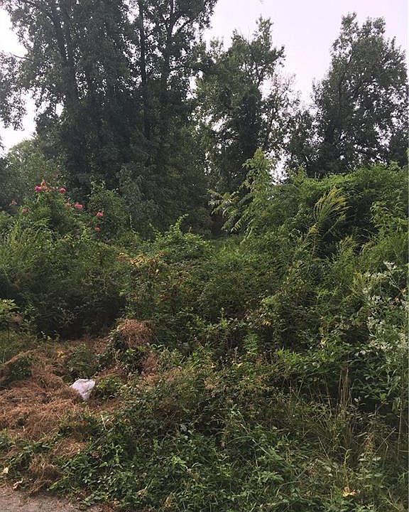 2nd image of 3019 Hilliard Rd