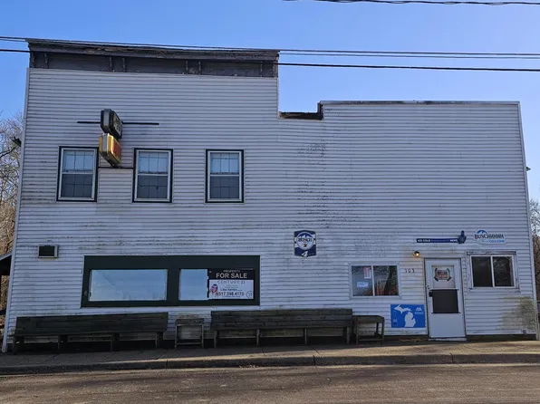 103 E Main St, Burlington, MI 49029