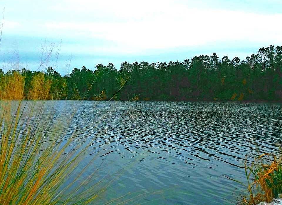 1st image of 1009 Iron Horse Ct. Lot 114