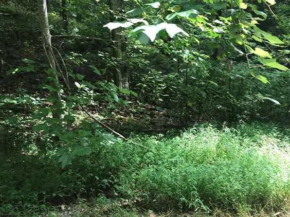 Indian Lake Rd, Topton, NC 28781